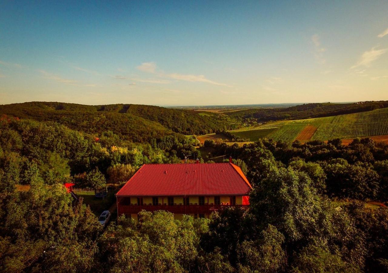 Villa Farma Ovci Terasy à Němčičky Extérieur photo
